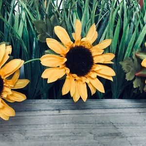 Meet your Posher, Candy